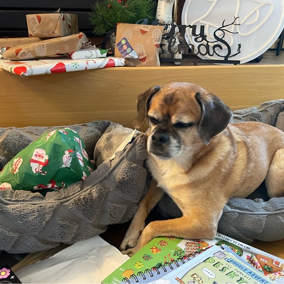 Meet your Posher, Sue - Picture 4 of 5